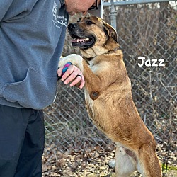 Thumbnail photo of Jazz #2