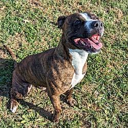 Photo of Ozzie