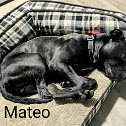 Thumbnail photo of Mateo #4
