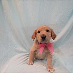 Photo of Sasha