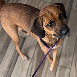 Photo of Derby
