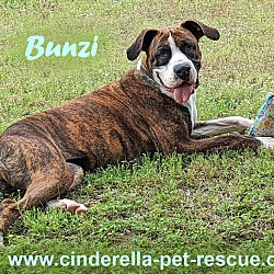 Thumbnail photo of Bunzi #1
