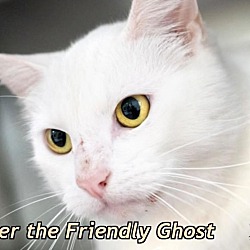 Photo of Casper the Friendly Ghost