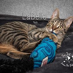 Thumbnail photo of LaBelle #2