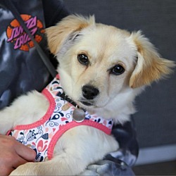 Photo of Sunny