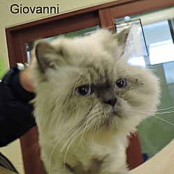 Thumbnail photo of Giovanni #3
