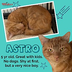 Thumbnail photo of ASTRO #1