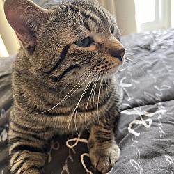 Photo of Bilbo