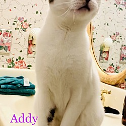 Photo of Addy