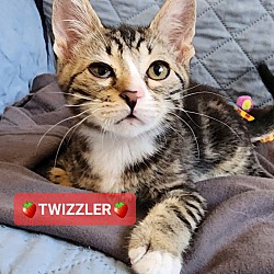 Thumbnail photo of :::Twizzler::: #3