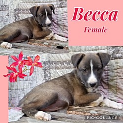 Photo of Becca meet 4/26