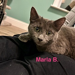 Photo of Marla B.