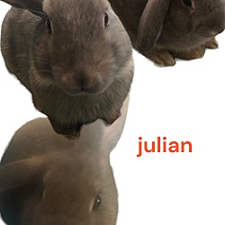 Thumbnail photo of Julian Bashir #1