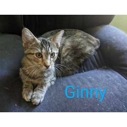 Thumbnail photo of Ginny Wessly #1