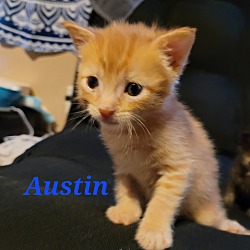 Thumbnail photo of Austin #2