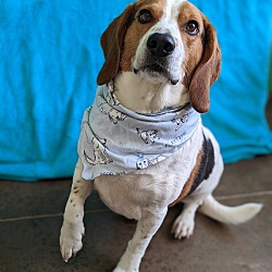 Photo of Willy