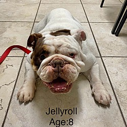 Photo of Jellyroll