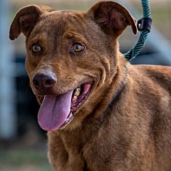 Photo of Ozzie JuM*