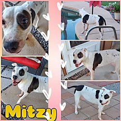 Photo of Mitzy