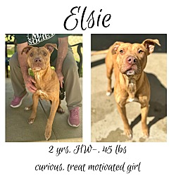 Thumbnail photo of Elsie #1