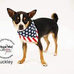 Thumbnail photo of Buckley #1