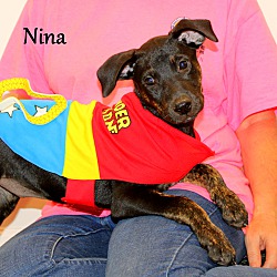 Thumbnail photo of Nina ~ meet me! #3