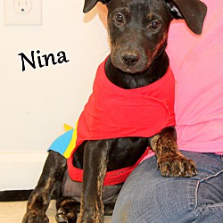 Thumbnail photo of Nina ~ meet me! #1