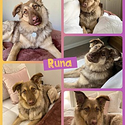 Thumbnail photo of Runa #1