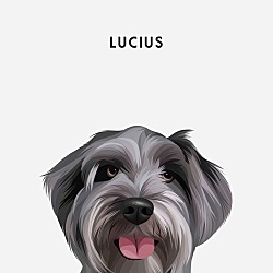 Thumbnail photo of Lucius #1