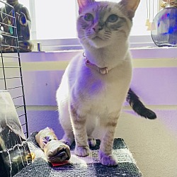 Photo of Tiny