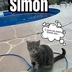 Thumbnail photo of Simon #2