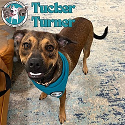 Thumbnail photo of Tucker Turner #1