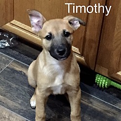 Photo of TIMOTHY