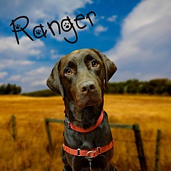 Photo of Ranger
