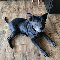 Photo of Raymond