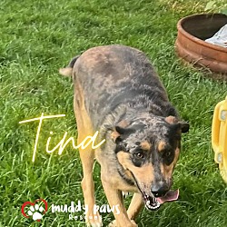 Thumbnail photo of Tina (Courtesy Post) #3