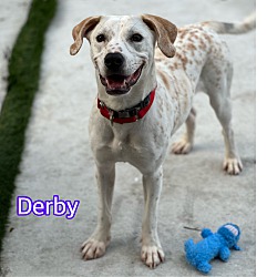 Thumbnail photo of Derby #1