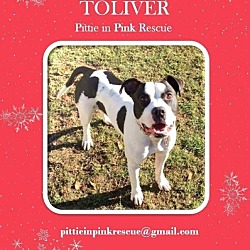 Thumbnail photo of Toliver #2