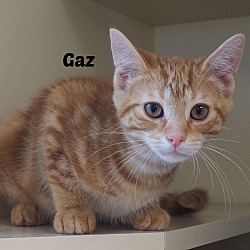 Photo of Gaz