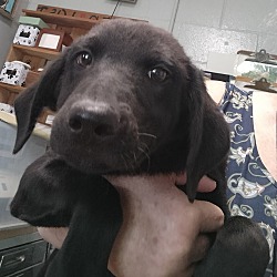 Photo of Rex