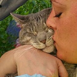Thumbnail photo of CAIRO - The cat who gives hugs! #4