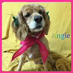 Thumbnail photo of Angie #2