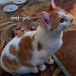 Thumbnail photo of Spot Girl (Foster Care) #2