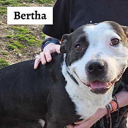 Photo of Bertha