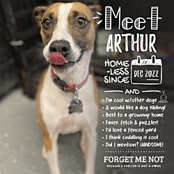 Photo of Arthur