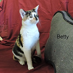 Thumbnail photo of Betty #3
