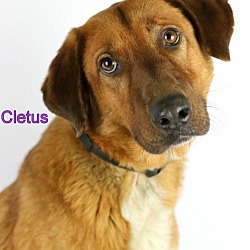Photo of Cletus