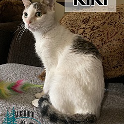 Photo of Kiki - Perfect Companion!