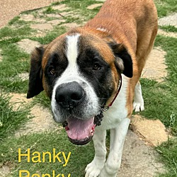 Thumbnail photo of Hanky Panky #1