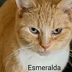 Photo of Esmerelda